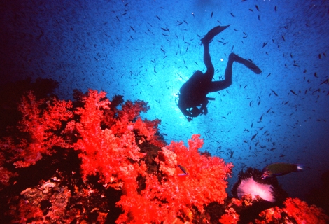 Ko Lanta scuba diving